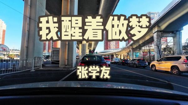 醒着做梦表达什么情感_如何理解醒着做梦