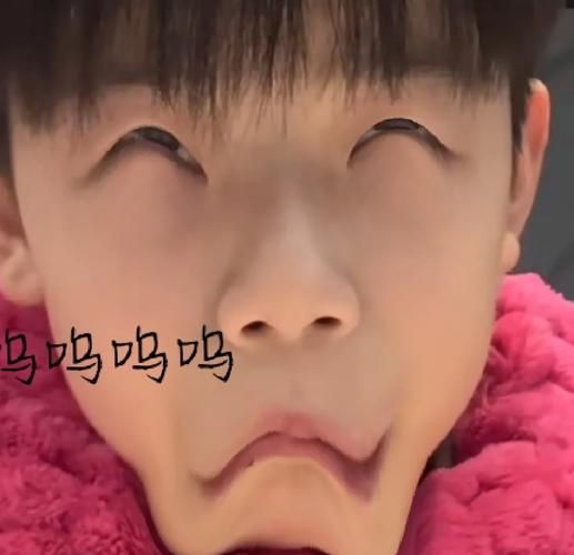 张典不用读书吗_张典为什么不上学