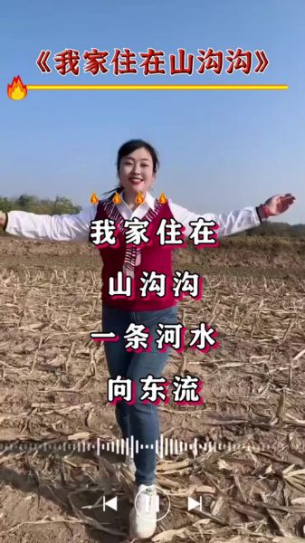 花鼓子表达情感_花鼓子歌词含义