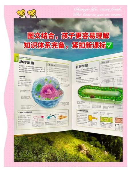 dk生物大百科适合几岁读_如何高效使用