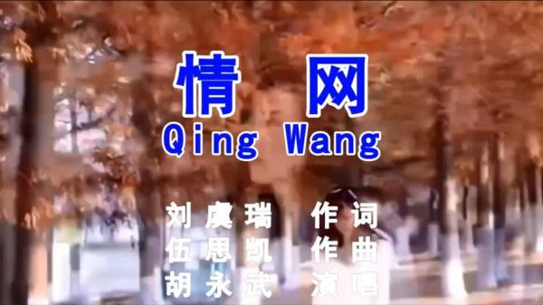 情网怎么表达情感_情网表达情感有哪些方式