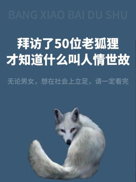 狐狸为什么象征孤独_狐狸表达什么情感