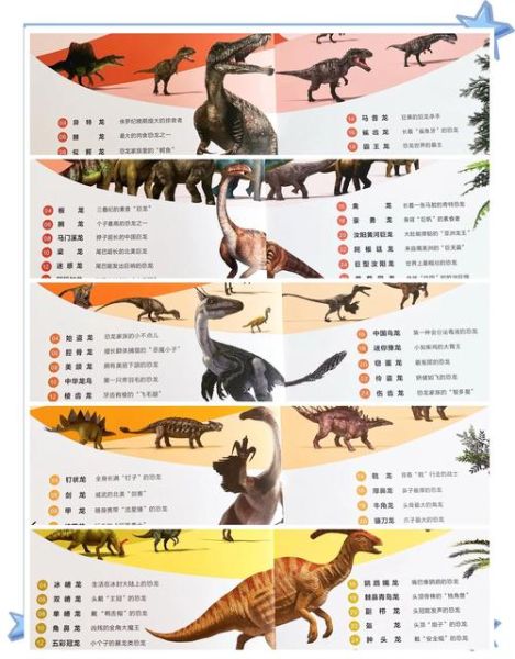 恐龙大百科读书活动_如何激发孩子阅读兴趣