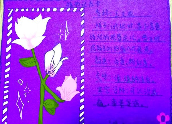 少儿植物百科读书卡怎么做_植物卡片内容写什么