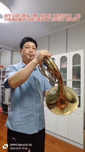 圆号如何表达情感_圆号音色特点