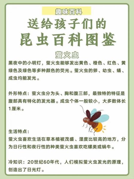 昆虫小百科读书日演讲_如何让孩子爱上昆虫