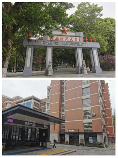湖南师大心理学怎么样_湖南师大心理学就业前景