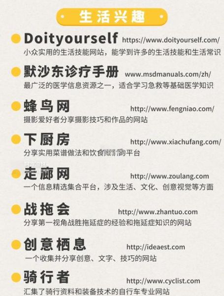 如何快速提高网站排名_网站排名一直掉怎么办