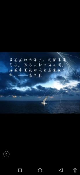 海燕象征什么情感_海燕表达的情感有哪些