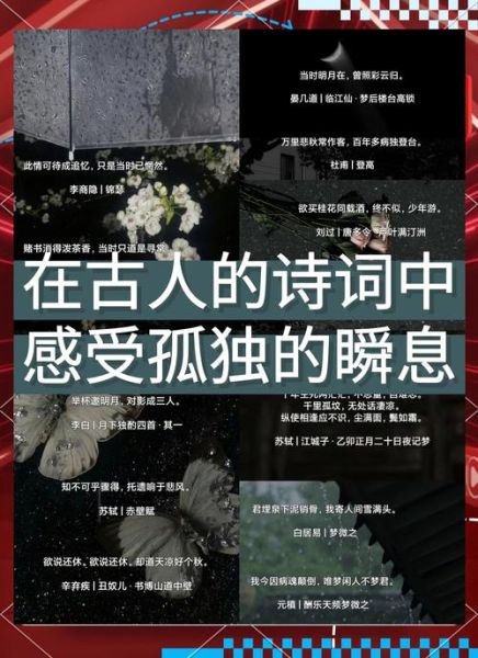 空城诗词情感表达_如何读懂诗人孤独