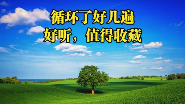 爱江山情感表达_如何打动TA的心