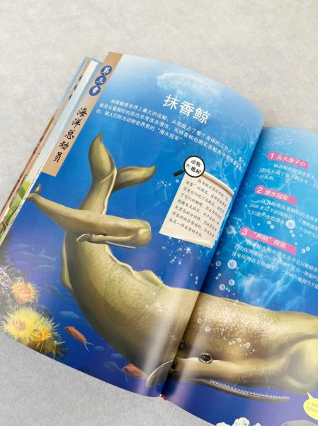 动物百科绘本适合几岁孩子_如何挑选