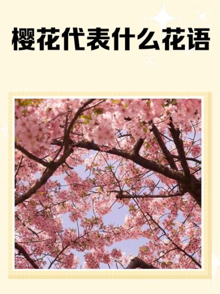 樱花代表什么情感_樱花花语有哪些