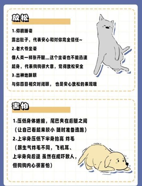 大黑狗情感表达_如何读懂它的情绪