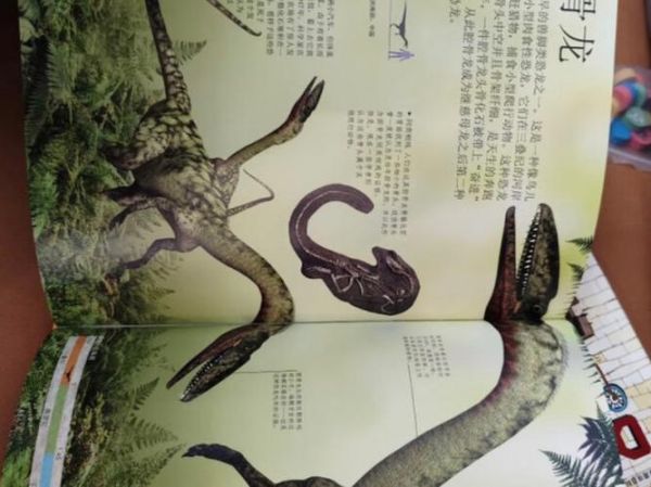 恐龙为什么会灭绝_恐龙百科读书心得