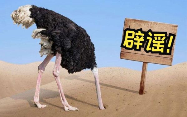 鸵鸟遇到危险会把头埋进沙子里吗_鸵鸟情感表达真相