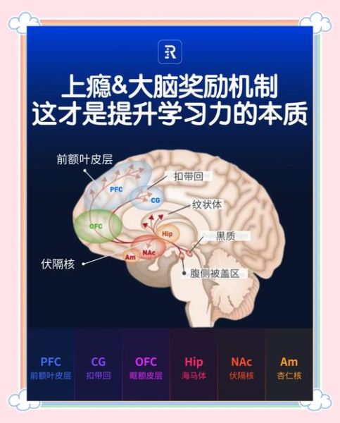 心理学魔术是如何影响大脑的_心理学魔术背后的心理机制