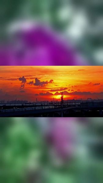 晚霞代表什么情感_为什么看晚霞会想哭