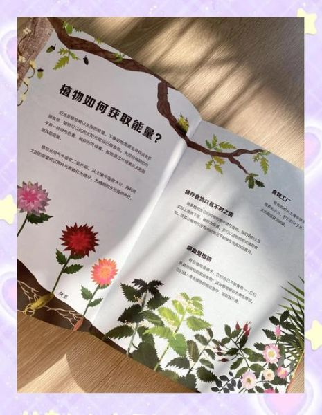 趣味植物小百科适合几岁孩子阅读_家长如何选书