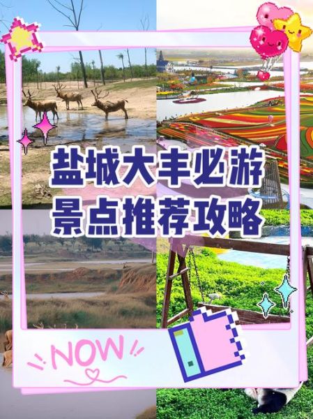 大丰哪里好玩_大丰一日游路线