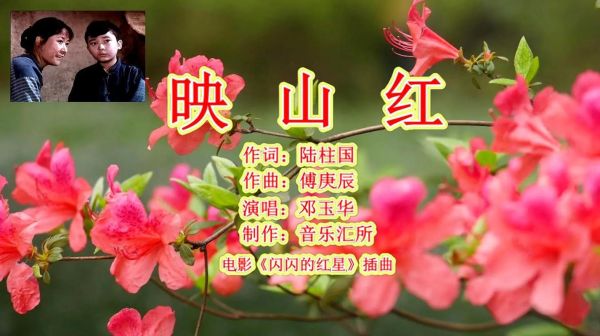映山红表达了什么情感_映山红歌曲情感分析