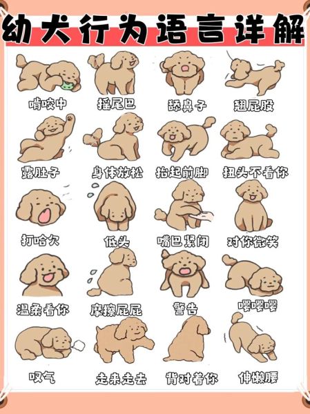 狗狗情感表达画作_如何看懂