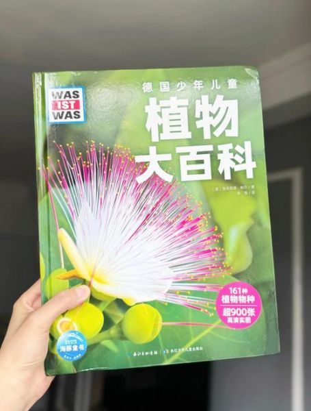 植物大百科适合初学者吗_如何高效阅读植物大百科