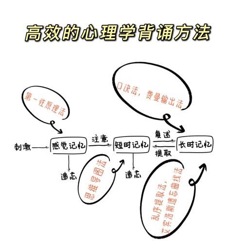 心理学考研重难点手册_如何高效背诵