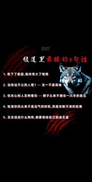 野狼怎么表达情感_野狼情感交流方式