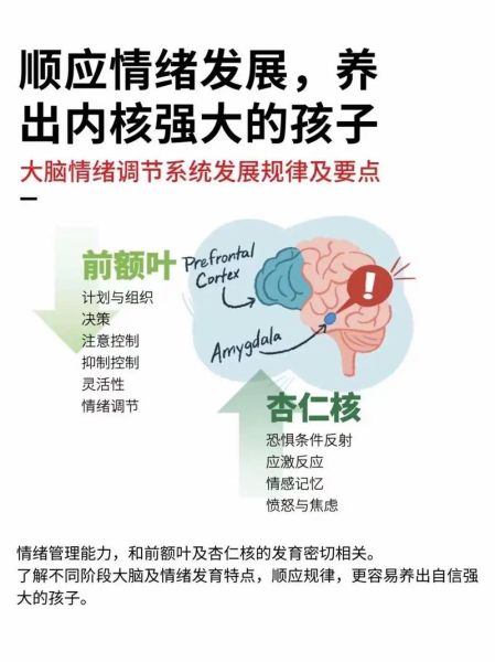 大脑如何影响情绪_情绪调节的神经机制