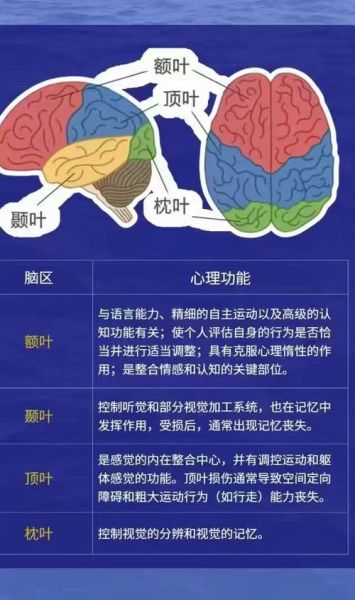 大脑如何影响情绪_情绪调节的神经机制