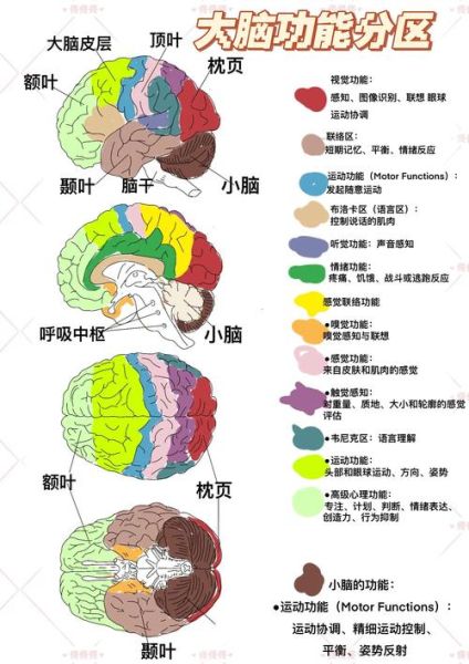 大脑如何影响情绪_情绪调节的神经机制
