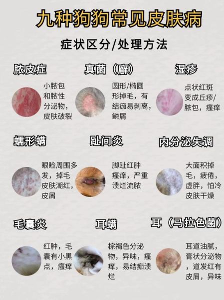 皮肤病变会传染吗_如何区分良性与恶性