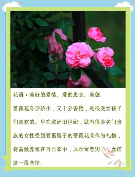 蔷蔷情感表达_如何正确传达爱意