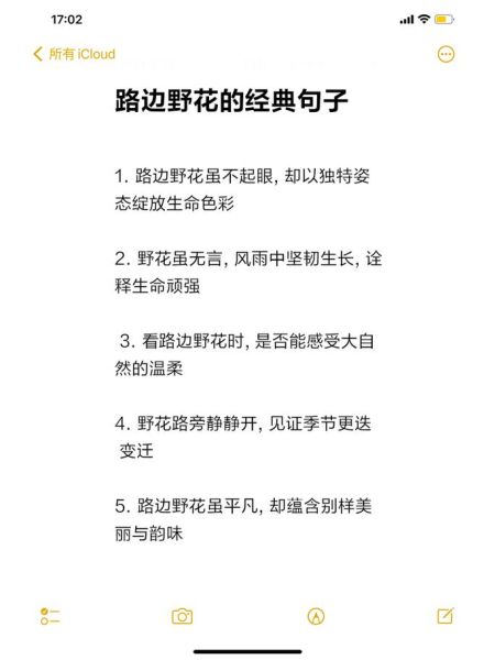 野花表达了什么情感_野花象征什么意义