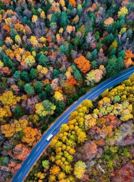 秋天适合去哪里旅游_秋天旅游最佳去处