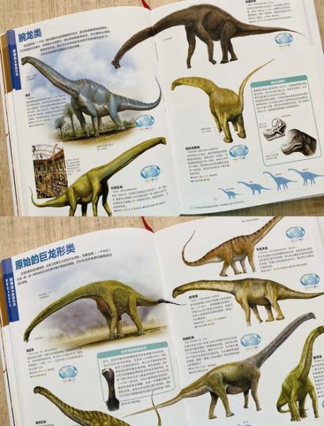 恐龙大百科必读书目_哪些恐龙书值得收藏