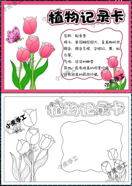 少儿植物百科电子读书卡怎么用_适合几岁孩子