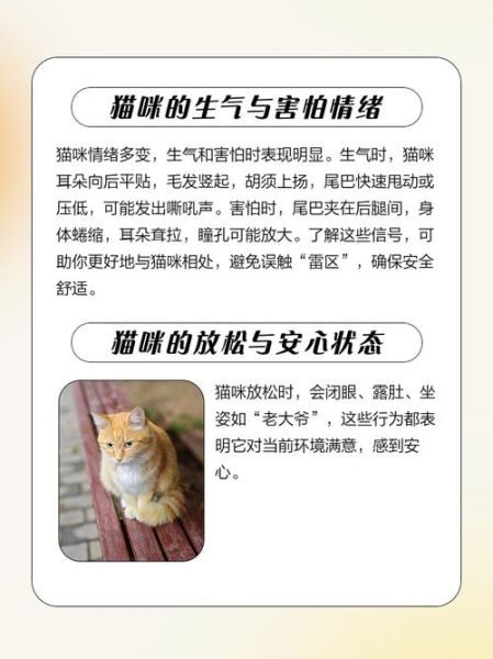 动物如何表达情感_动物有感情吗