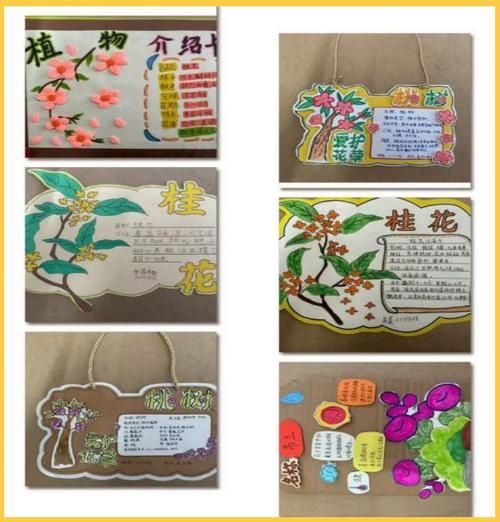 植物百科全书读书卡怎么做_植物卡片怎么写才精美