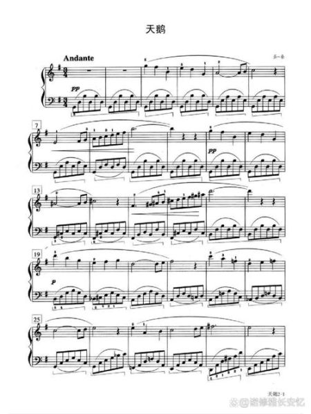 圣桑天鹅表达什么情感_如何理解