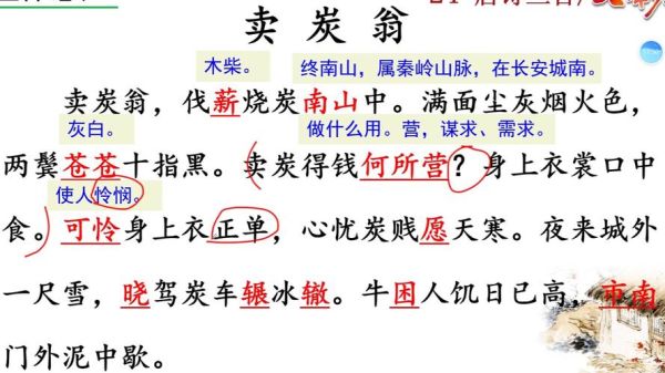 卖炭翁表达了什么情感_诗人为何叹息