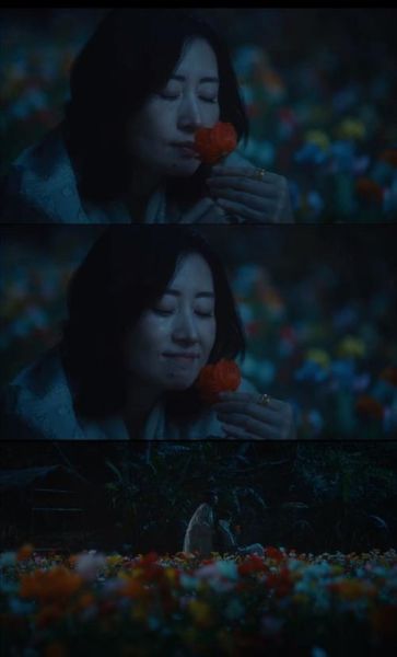 悲情主演如何表达情感_演员情绪崩溃怎么演