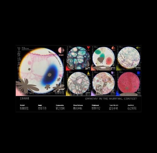 植物会表达情感吗_植物情绪如何感知