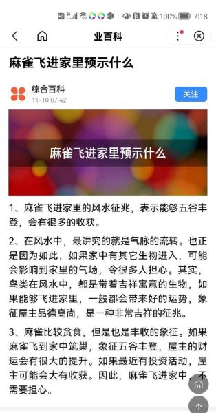 麻雀为什么总是叽叽喳喳_麻雀叫声代表什么情感