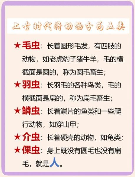 动物百科读书笔记_如何快速记忆动物分类