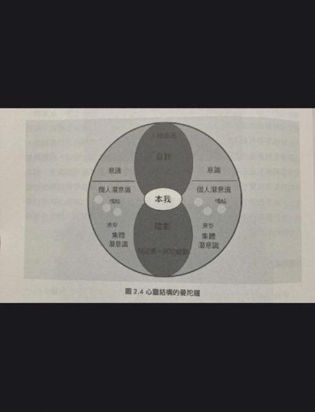 荣格人格类型有哪些_如何应用荣格理论提升自我