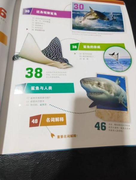 海洋动物百科读书笔记_如何高效记忆海洋生物特征