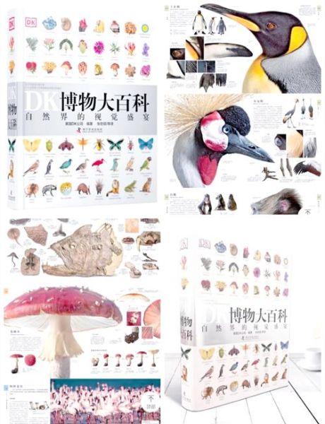 动植物百科全书点读书适合几岁孩子_怎么选