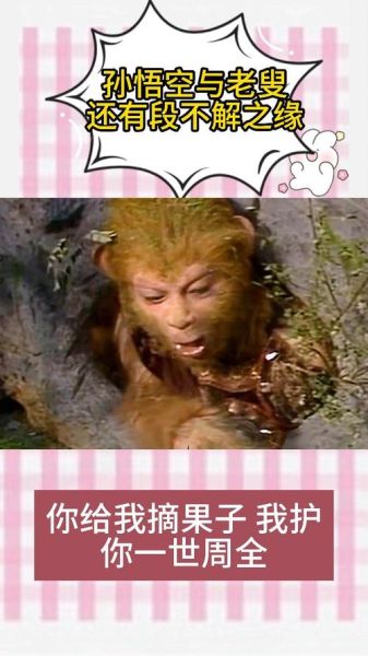 悟空情感表达_如何打动女生